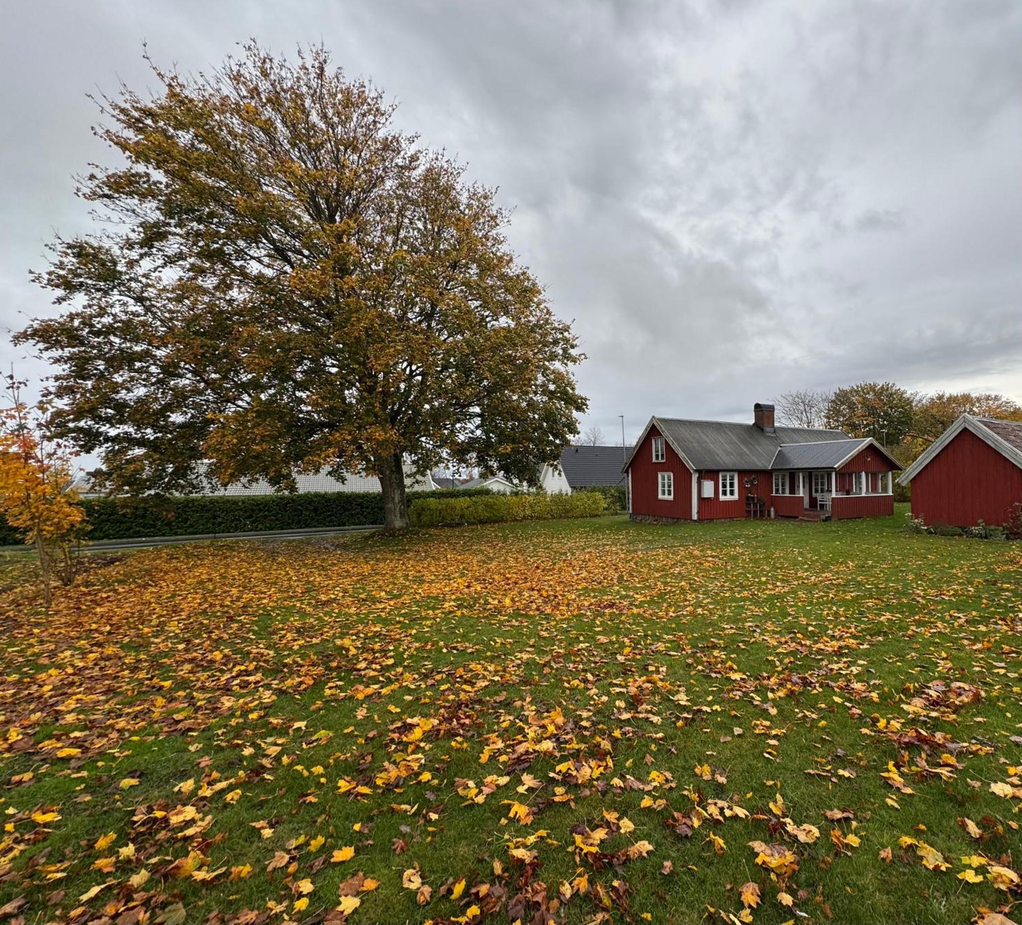 Stora Loenn Villa Falkenberg Exterior photo
